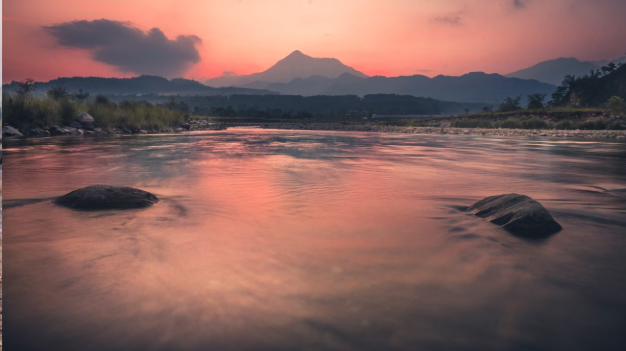 Where Brahmaputra Flows Through Tea-Scented Dreams