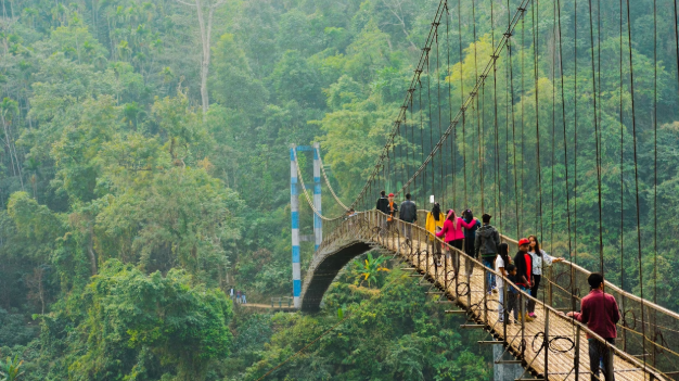 Whispers of Clouds and Waterfalls in the Abode of Rain