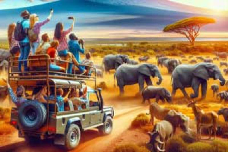 my tour package wdwd