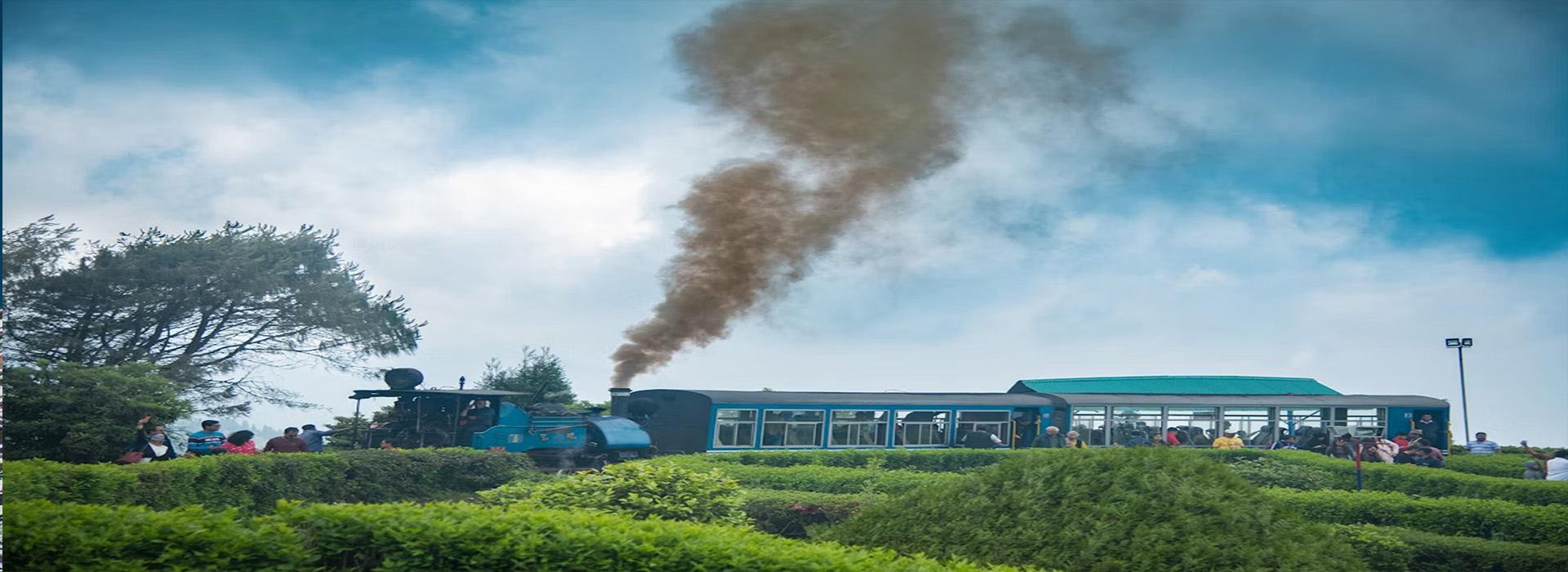 Honeymoon Tours, Hill station Tours, Wild Life Tours