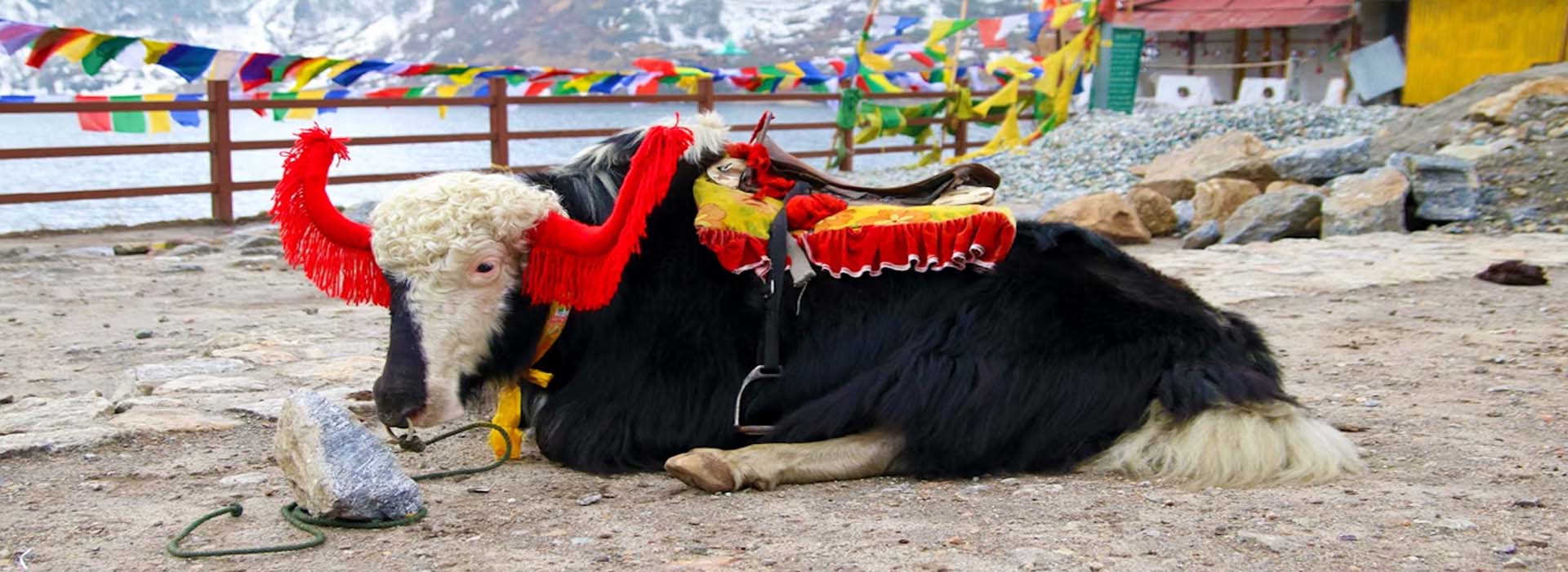 Honeymoon Tours, Hill station Tours, Family tour