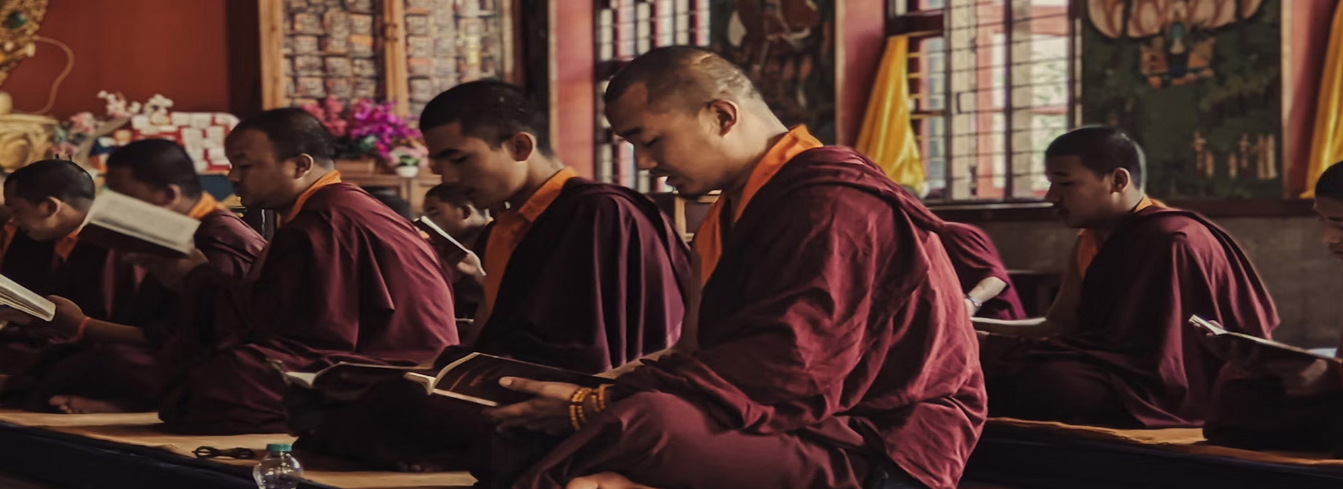 Honeymoon Tours, Wild Life Tours