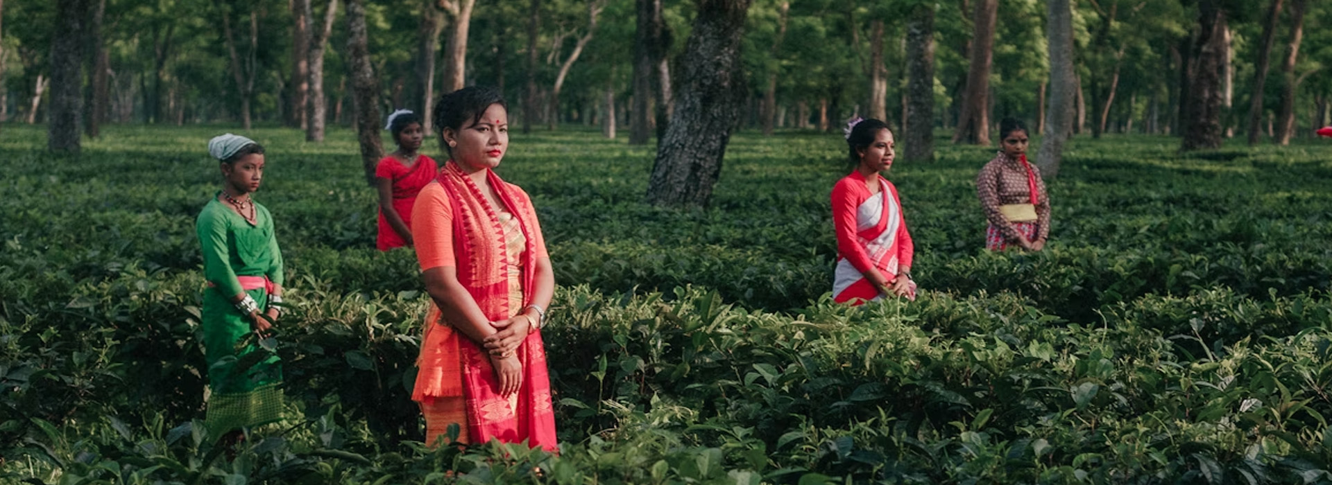 Honeymoon Tours, Hill station Tours