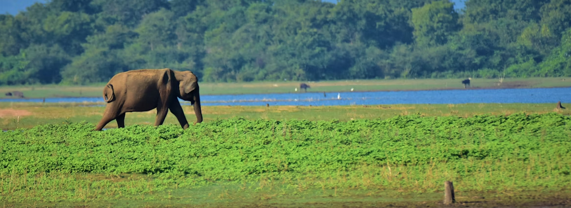 Adventure Tour Package, Honeymoon Tours, Hill station Tours