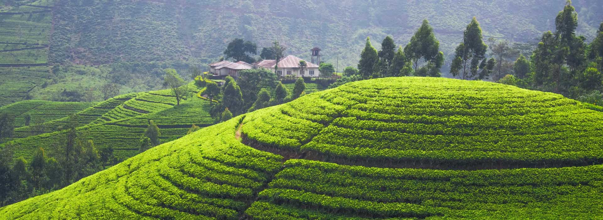 Adventure Tour Package, Honeymoon Tours, Hill station Tours