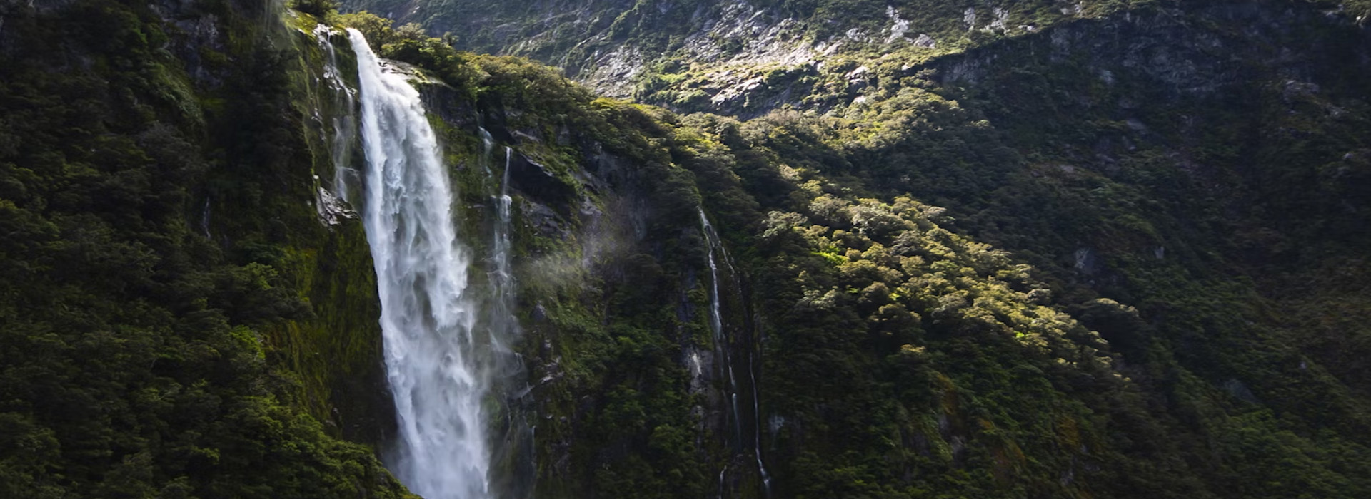 Honeymoon Tours, Wild Life Tours, Family tour