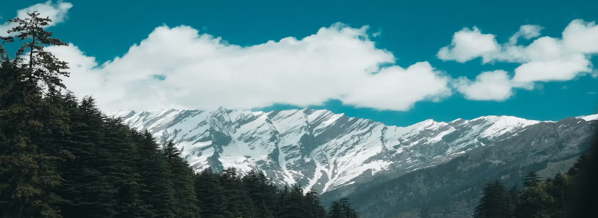 Honeymoon Tours, Wild Life Tours