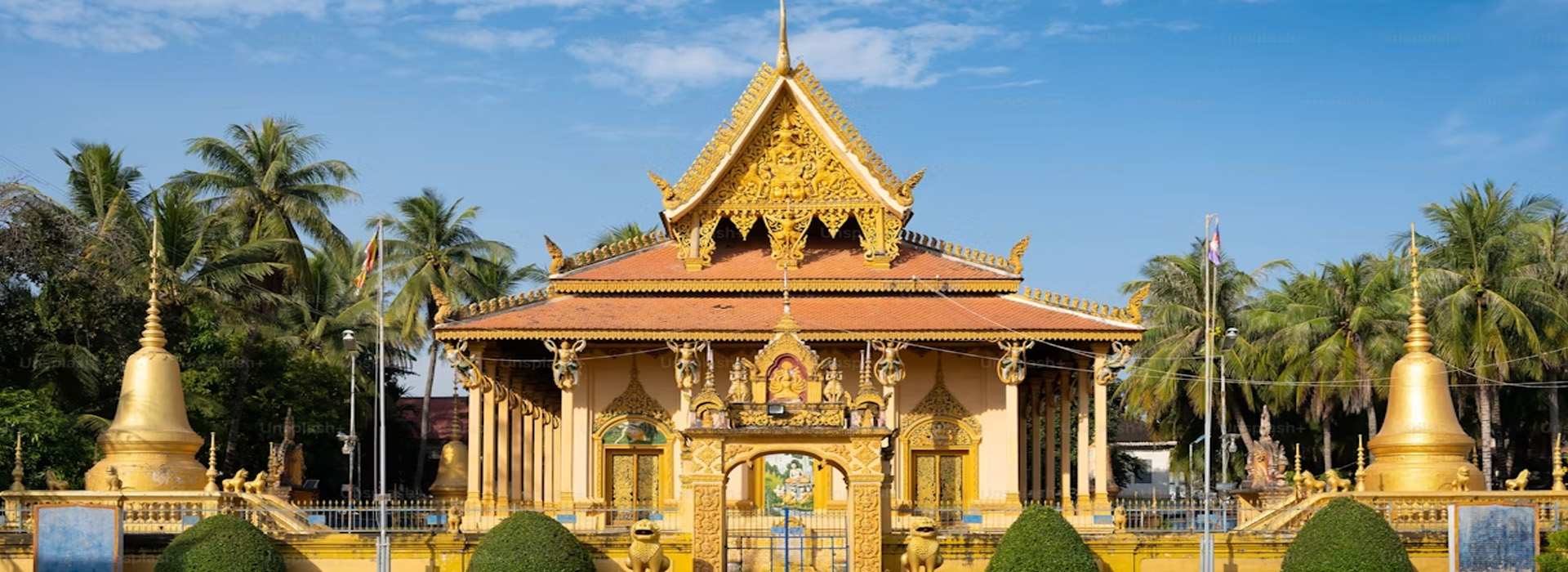 Honeymoon Tours, Wild Life Tours