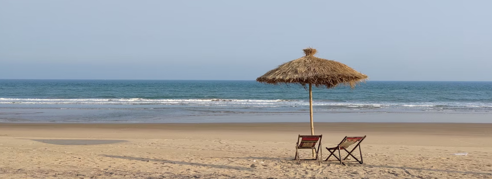 Honeymoon Tours, Wild Life Tours