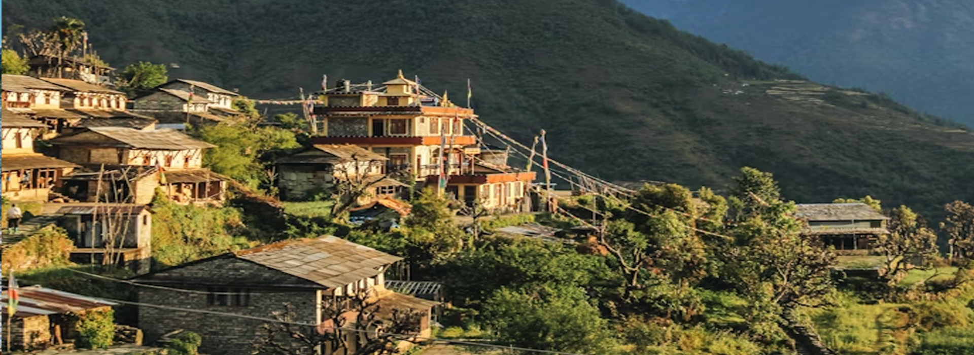 Honeymoon Tours, Hill station Tours, Wild Life Tours