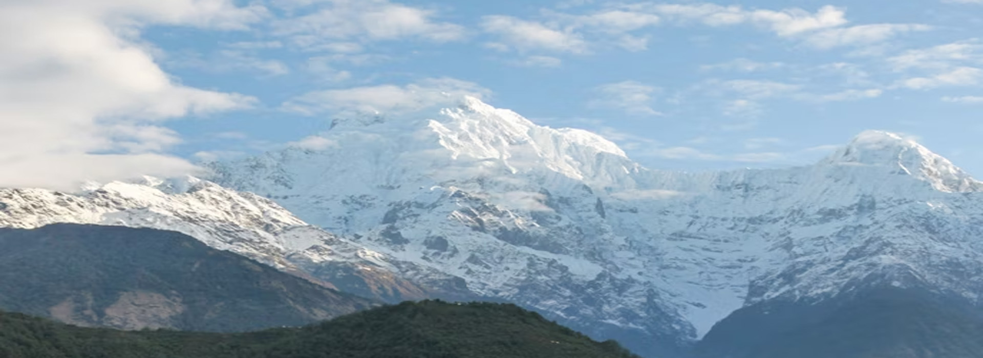 Honeymoon Tours, Wild Life Tours