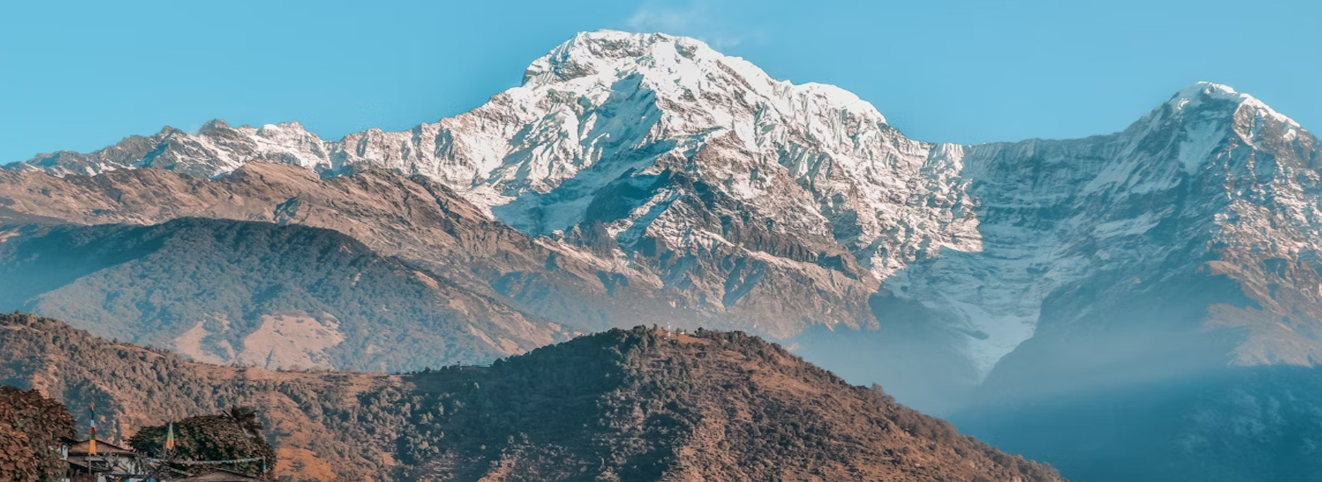 Hill station Tours, Wild Life Tours