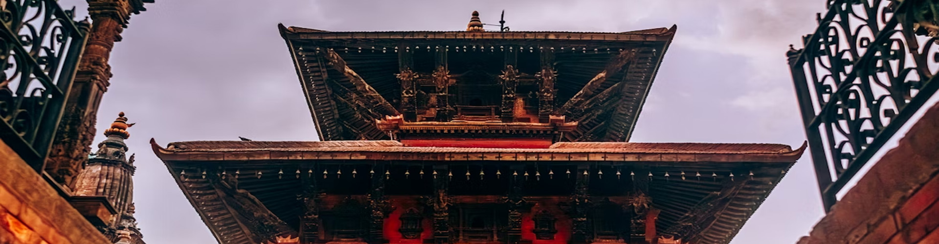 Adventure Tour Package, Wild Life Tours, Family tour