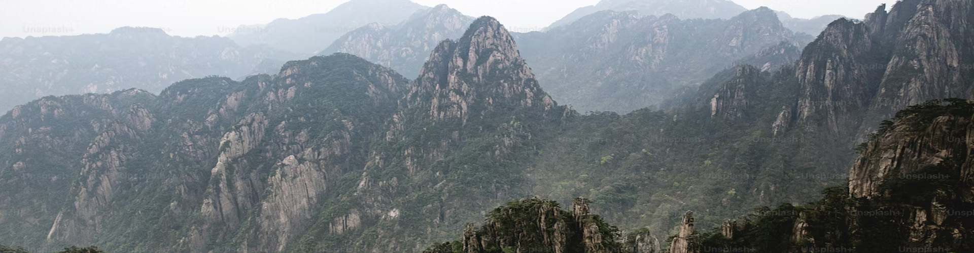 Adventure Tour Package, Wild Life Tours, Family tour