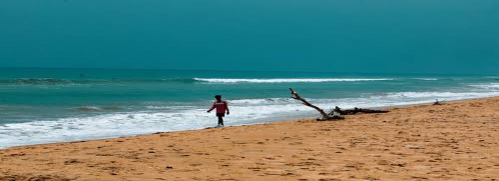 Family tour Package, Solo Tour Package