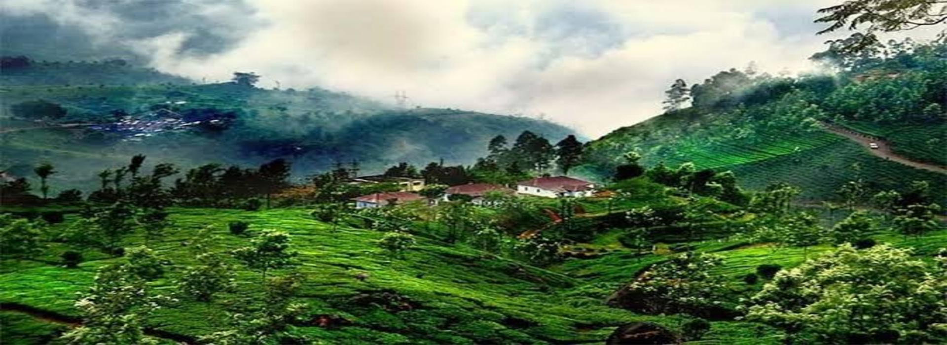 Honeymoon Tour Package, Hill station Tours Package, Family tour Package, Solo Tour Package