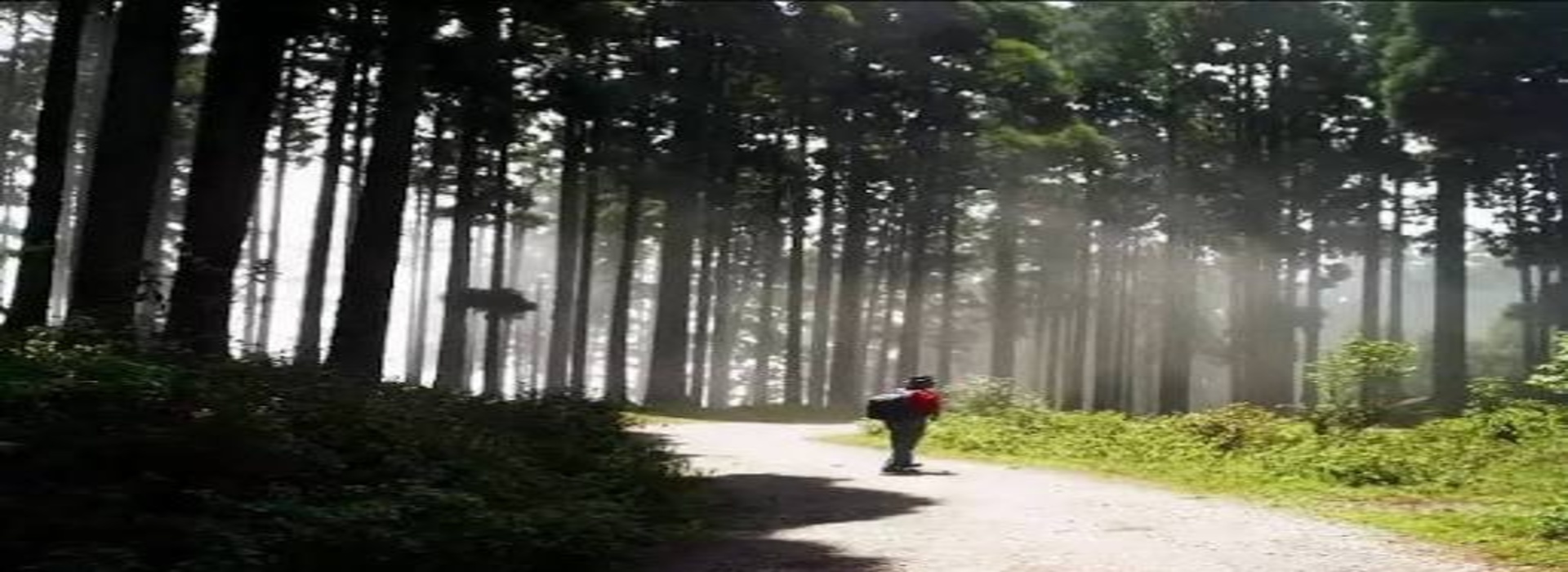 Honeymoon Tour Package, Hill station Tours Package, Family tour Package, Solo Tour Package