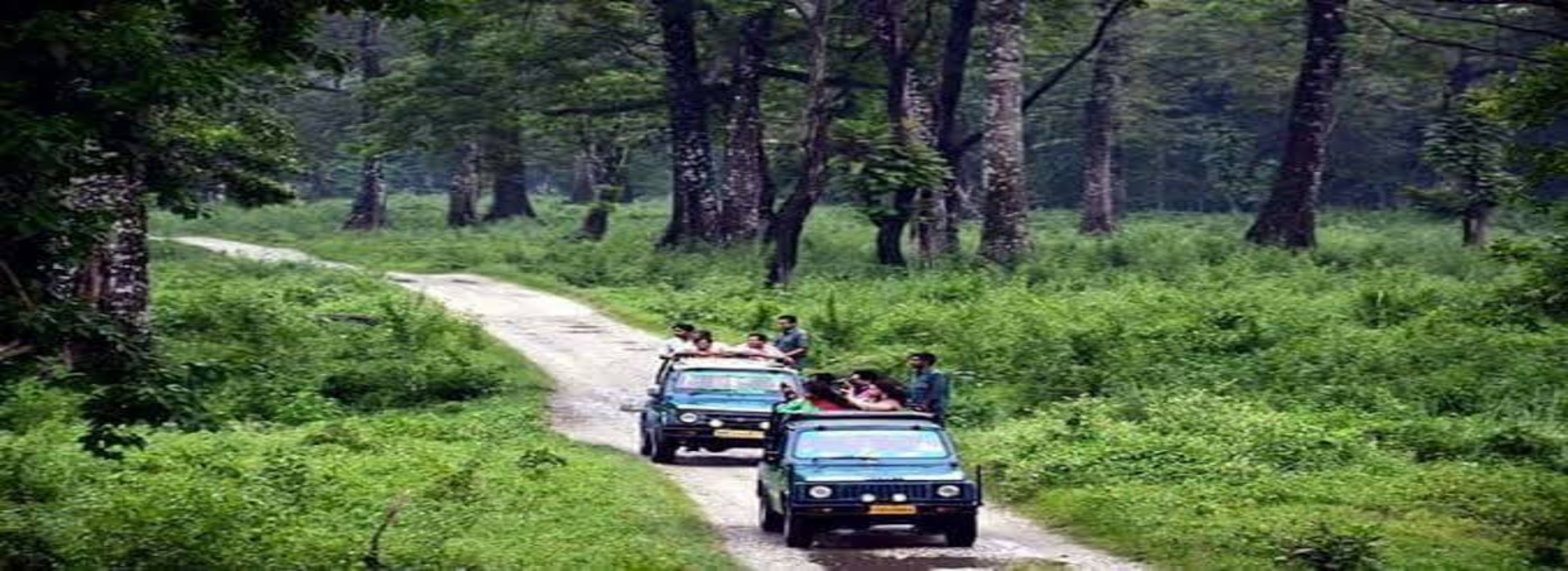 Adventure Tour Package, Wild Life Tours Package, Family tour Package, Solo Tour Package