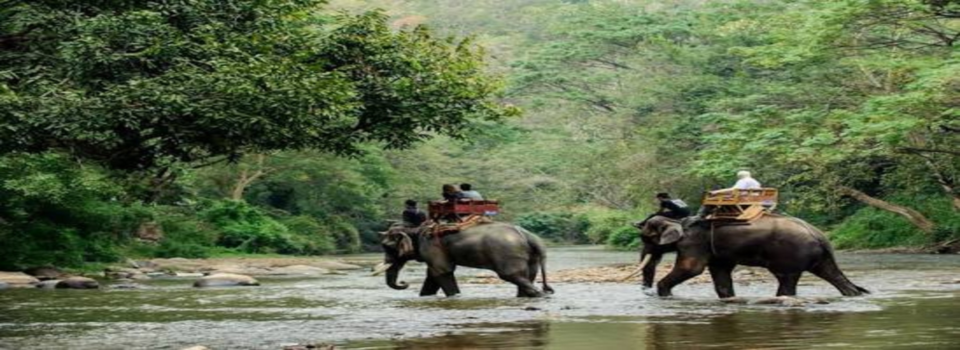 Adventure Tour Package, Honeymoon Tour Package, Hill station Tours Package, Wild Life Tours Package, Family tour Package
