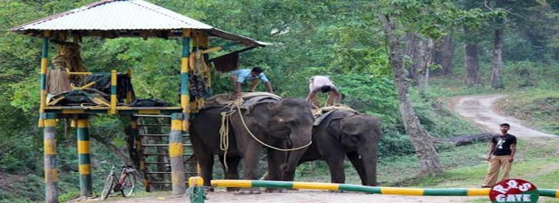 Adventure Tour Package, Wild Life Tours Package, Family tour Package, Solo Tour Package