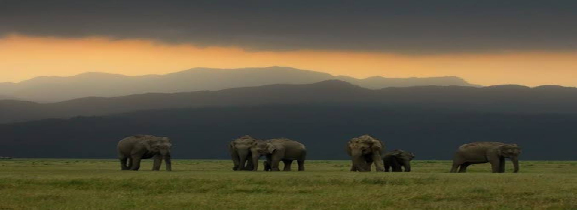 Adventure Tour Package, Wild Life Tours Package, Family tour Package