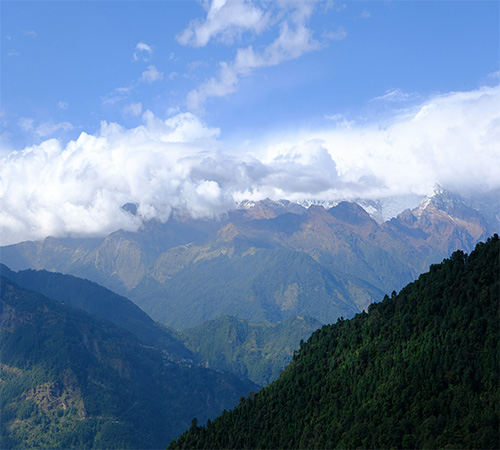 Darjeeling Delight Getaway