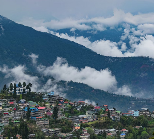 Splendid Darjeeling with Mirik Excursion