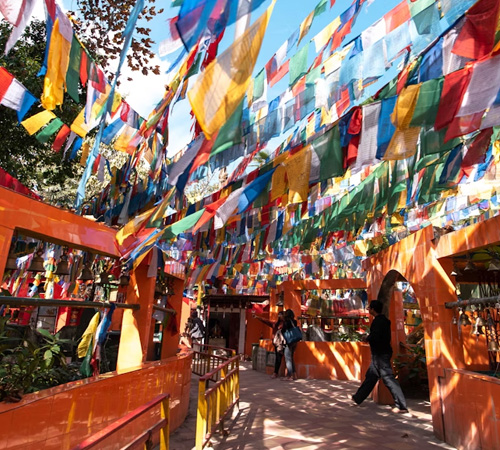 Ultimate Darjeeling & Sikkim Himalayan Adventure