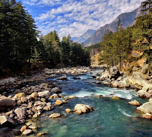 Manali Nature Retreat