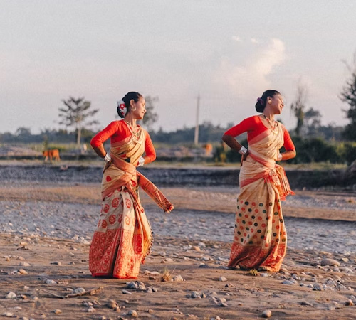 Assam Tea Garden Escape