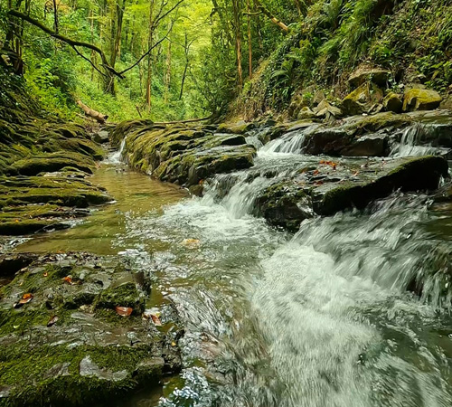 Cherrapunji Waterfall Retreat