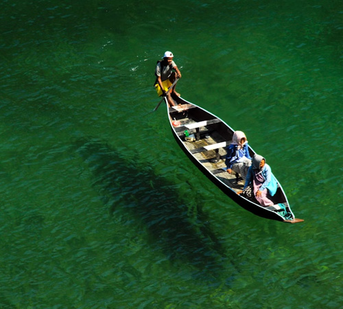 Meghalaya Living Root Bridges Adventure