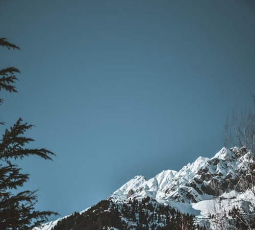 Tawang Himalayan Retreat