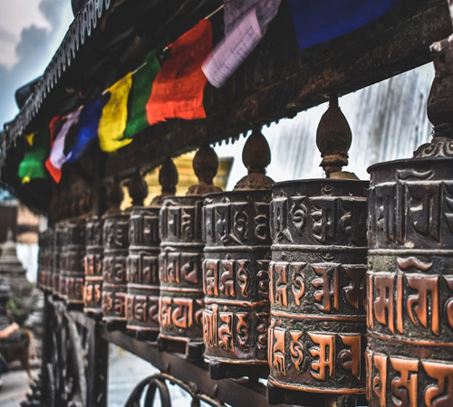 Nepal Nature & Wildlife Expedition