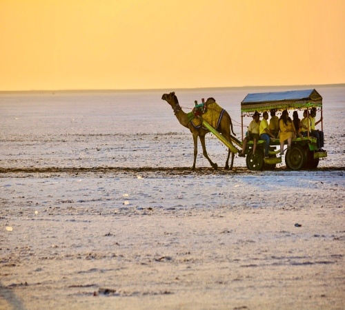 White Desert Escape - Rann of Kutch tour package