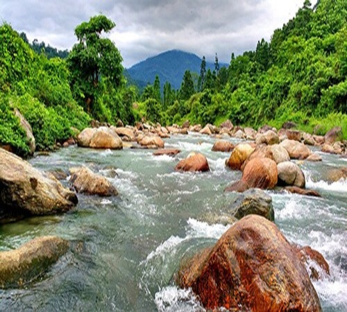 Dooars Family Tour - Dooars tour package