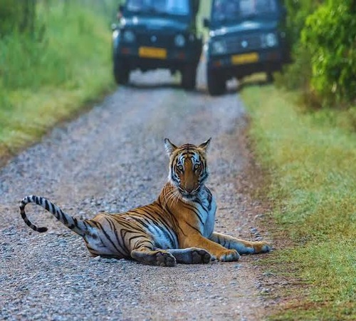 Tiger Trails Corbett