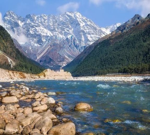 Valley of Flowers Lachung