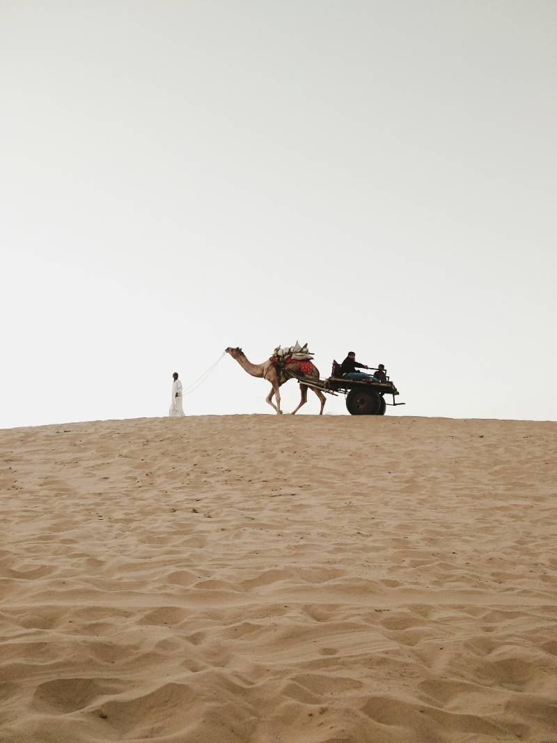 The Royal Realm of Rajasthan 7N 8D